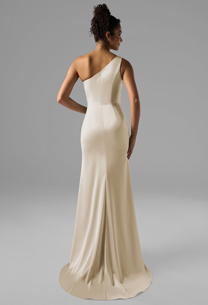 AW Rohan Dress